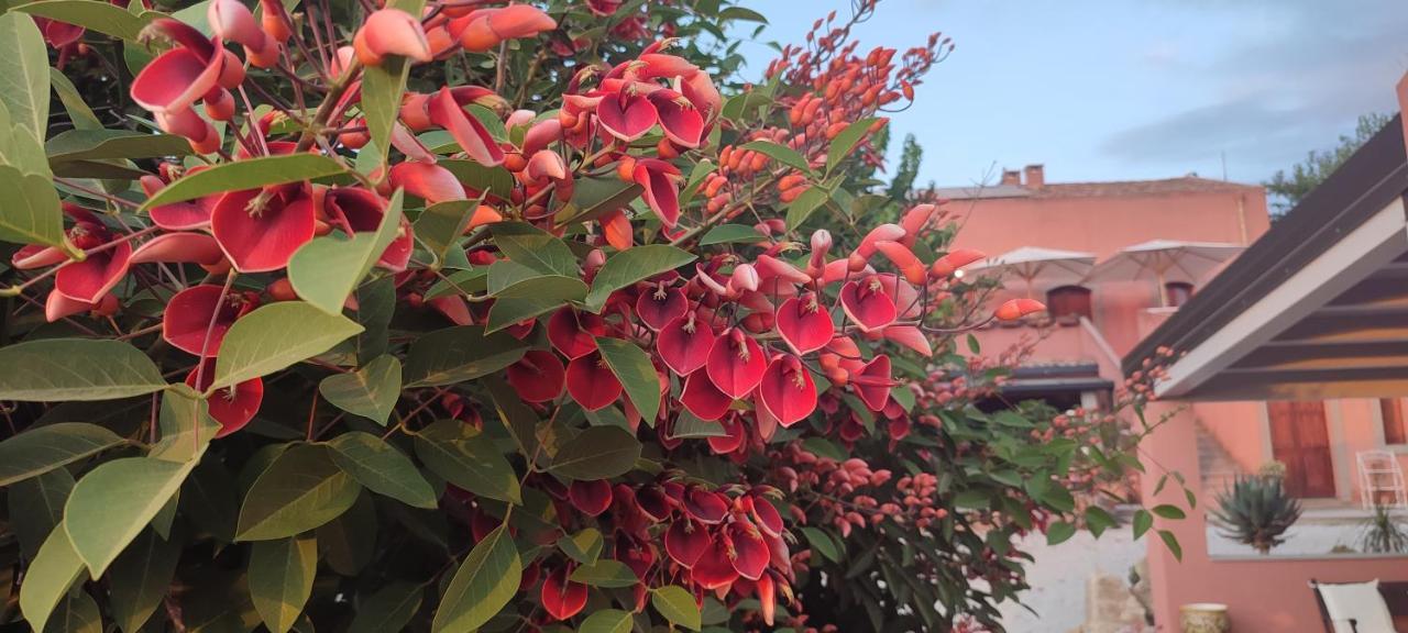 Bioagriturismo Antica Sena Milici 외부 사진