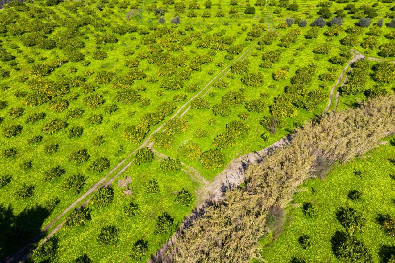 Bioagriturismo Antica Sena Milici 외부 사진