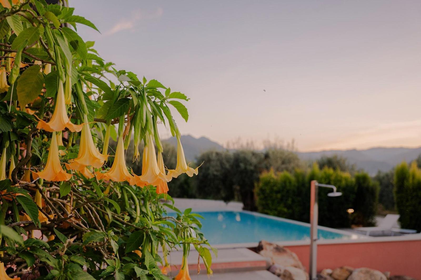 Bioagriturismo Antica Sena Milici 외부 사진