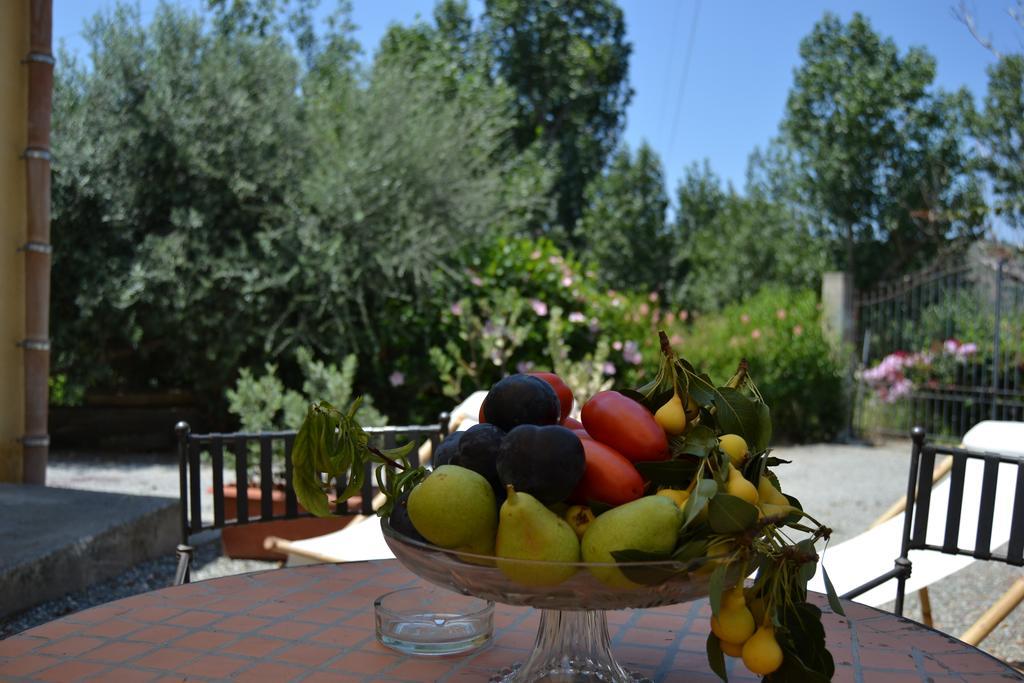 Bioagriturismo Antica Sena Milici 외부 사진
